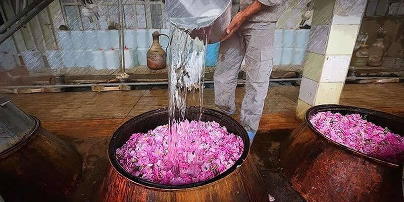 Visiting-a-rose-water-factory